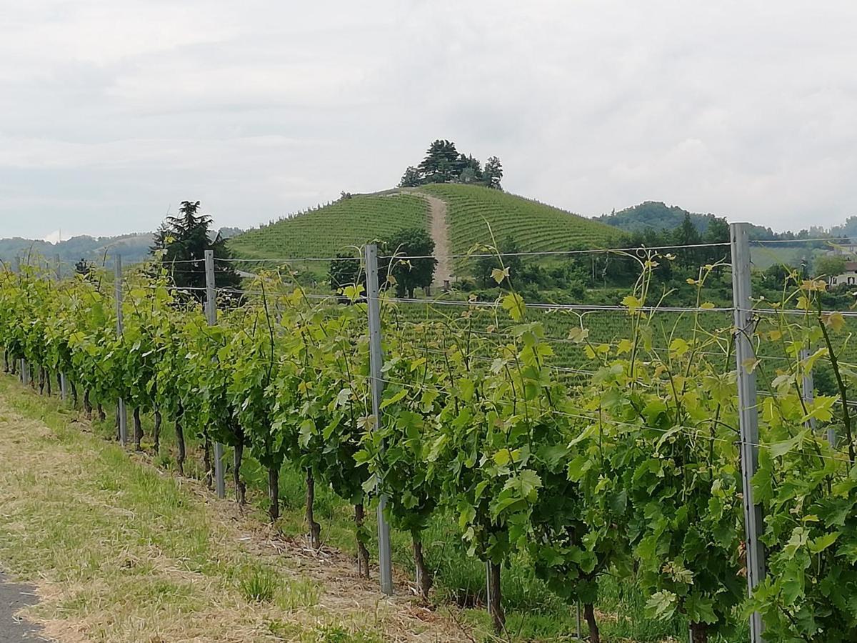La Giribaldina Winery & Farmhouse Calamandrana Exterior foto