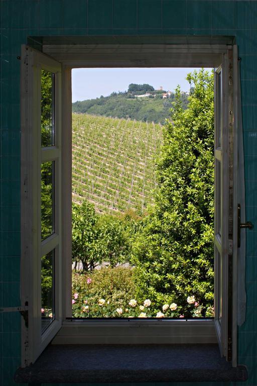 La Giribaldina Winery & Farmhouse Calamandrana Habitación foto